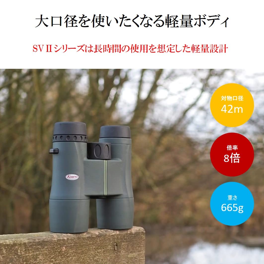 kowa-sv-ii-8x42-fernglas-wasserdicht-gr-n image 3